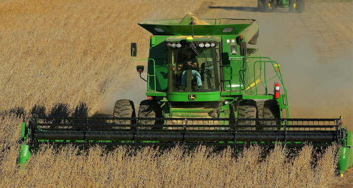 With grain prices falling - and farm profits along with them - some farmers are moving away from genetically modified crops to more lucrative conventional ones. With grain prices falling - and farm profits along with them - some farmers are moving away from genetically modified crops to more lucrative conventional ones.