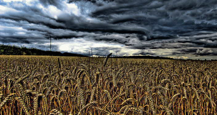 On Wednesday, Monsanto announced it would settle seven of those suits, shelling out $350,000. On Wednesday, Monsanto announced it would settle seven of those suits, shelling out $350,000.