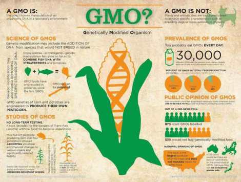 GMO