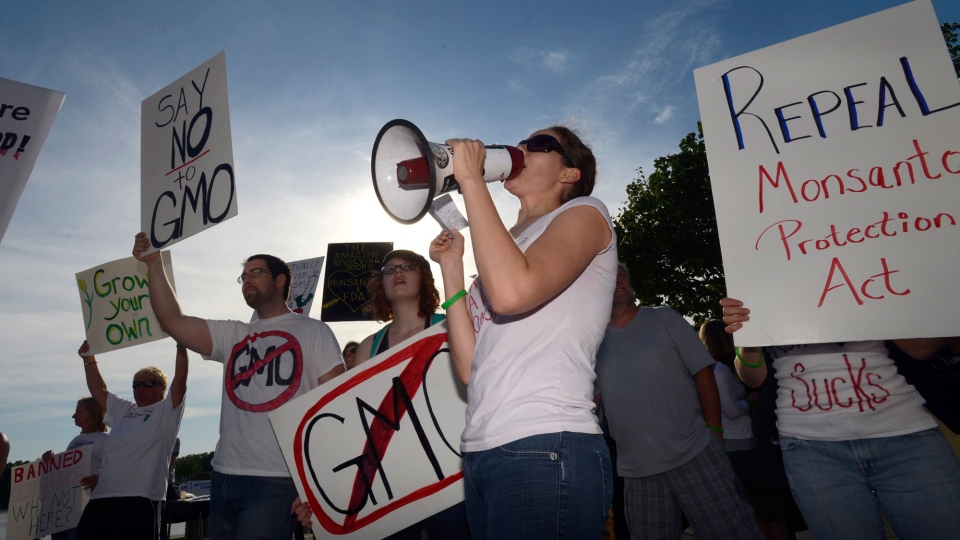 Activism can truly have an impact, as we've seen with the fallout of Monsanto's GM NewLeaf potato over a decade ago.