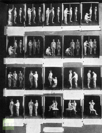 A set of photographs depicting anthropometry – the measurement of humans.Exhibit photograph scanned from: Harry H. Laughlin, The Second International Exhibition of Eugenics held September 22 to October 22, 1921, in connection with the Second International Congress of Eugenics in the American Museum of Natural History, New York (Baltimore: William & Wilkins Co., 1923). (Image from http://en.wikipedia.org)