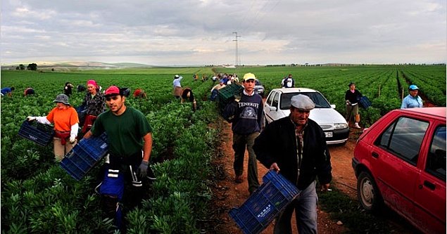 After years of striking, invasions, standing up and more, El Humoso, a 1200-hectare land was socialized in 1991.