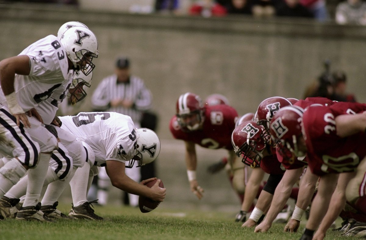It might protect the brain from concussions and trauma.