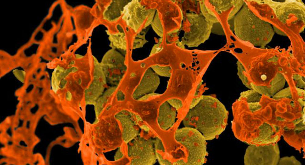 Patients at hospital across the country have been infected with a drug-resistant superbug, and doctors and public health officials suspect that the rare bacteria is being transmitted through medical equipment.