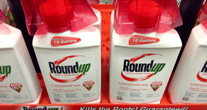 Monsanto's cash cow weedkiller Roundup probably causes cancer, according to a new report from the United Nation's cancer research organization.