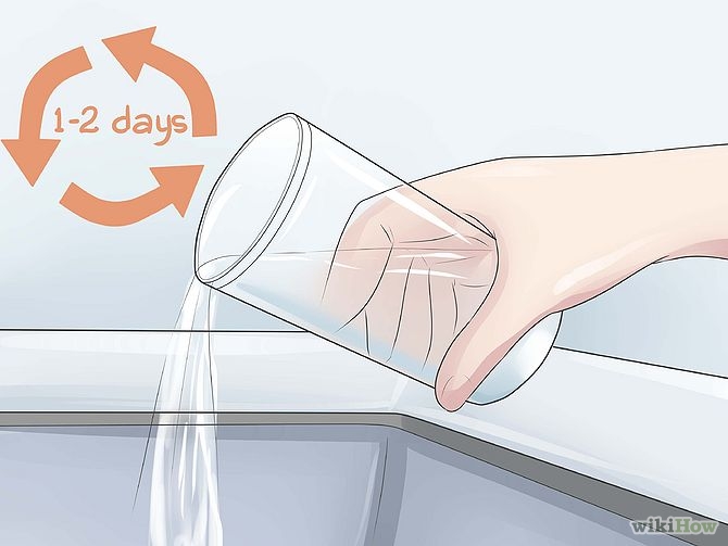 Plant an Avocado Tree Step 7 Version 3.jpg