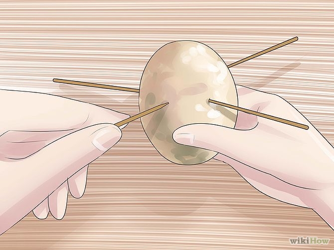 Plant an Avocado Tree Step 3 Version 3.jpg