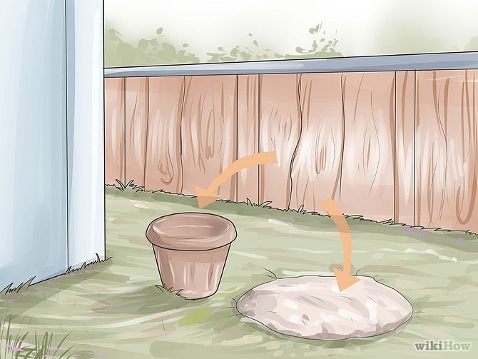 Plant an Avocado Tree Step 10 Version 3.jpg