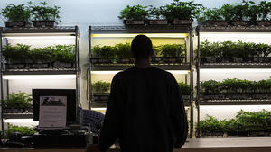 Shunned by banks, legitimate pot shops must deal in risky cash