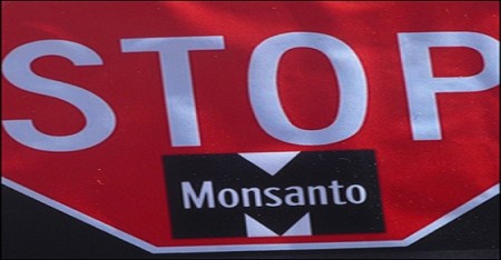 Monsanto Timeline 
