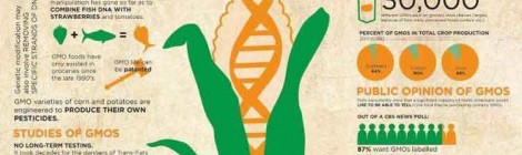Monsanto Gives Up Europe