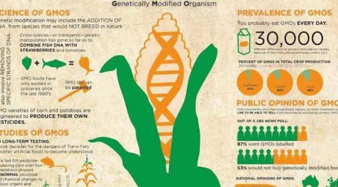 gmo1