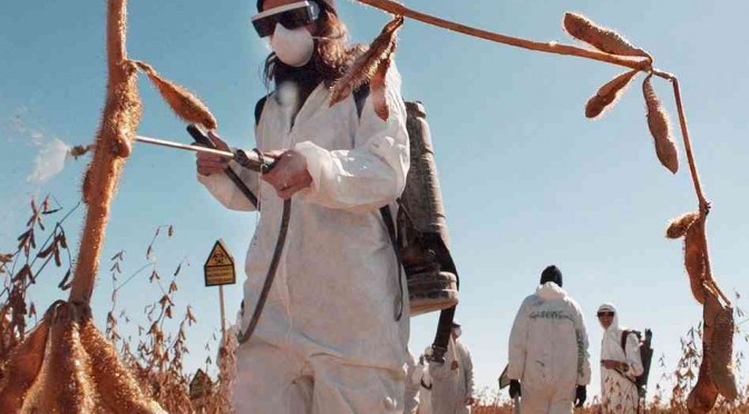 monsanto