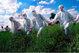 GMO_GMO Label_USA_SP_OC