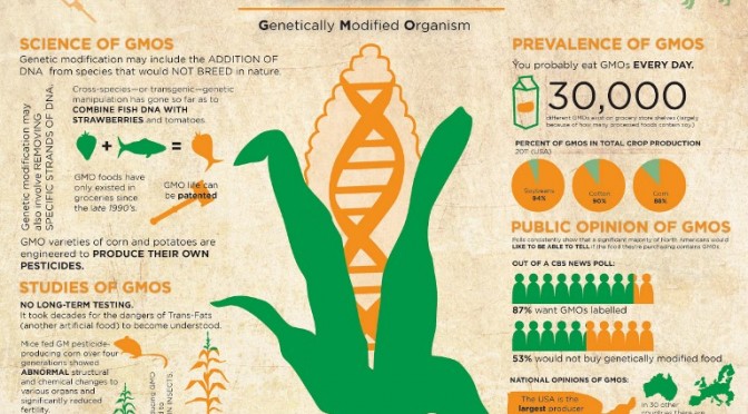GMO-Fact-sheet