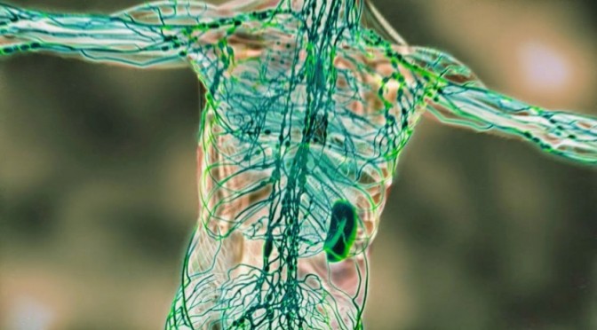 Lymphatic System