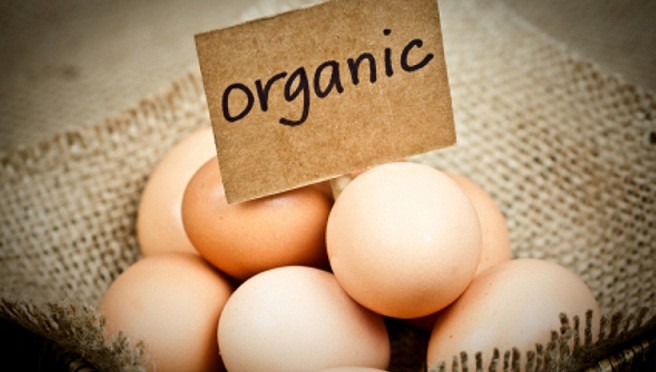 Anti-Stress DIY Egg Shell Calcium