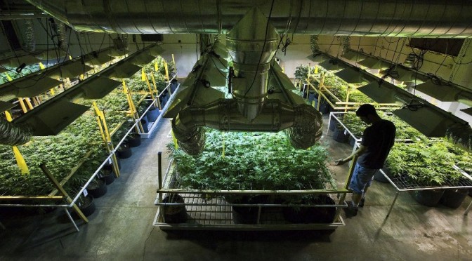 63 Year Old Says Cannabis Oil Cured His Cancer