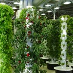 vertical-farm