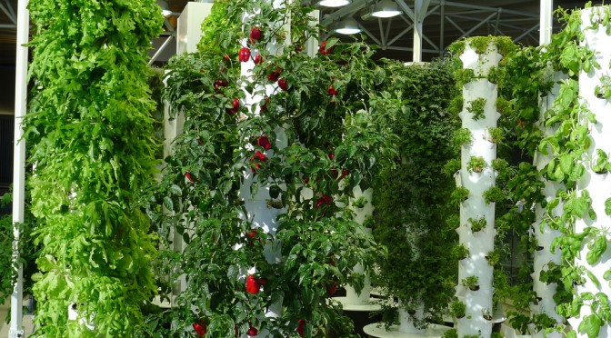 vertical-farm
