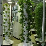 vertical_farming__48723