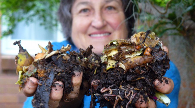 worm farming