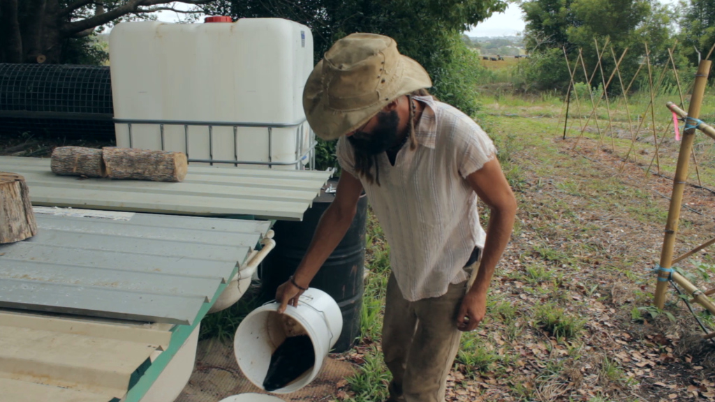 worm farming