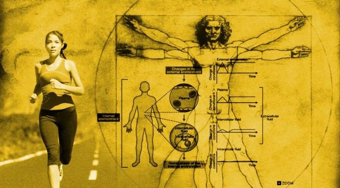 importance-of-homeostasis