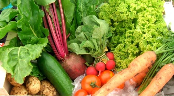 localfood121114