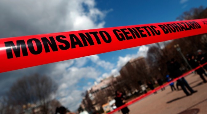 monsanto_activism