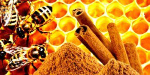 Benefits-of-honey-and-cinnamon2