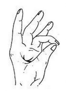 mudra of earth
