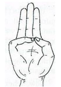 mudra of water