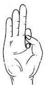 mudra of air