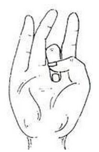 mudra of emptiness