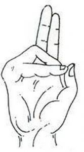 mudra of life