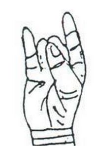 mudra of digestion