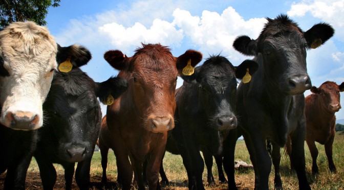 Superbugs Go Airborne, Triggering Fears of Global Epidemic