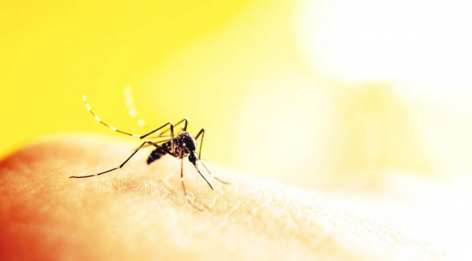 Who’s behind the Zika Virus Outbreak & fear mongering?