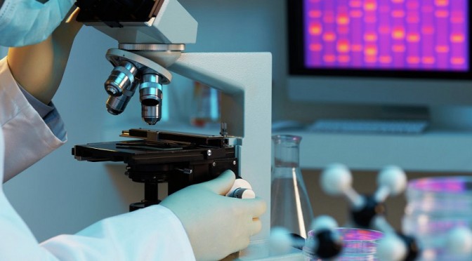 Processed Foods Destroy Immune System, Scientists Confirmed