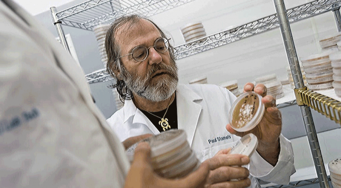 The Monsanto Equalizer: Patented BioTechnology Renders All Chemical Pesticides Obsolete