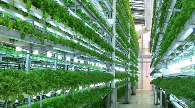 China Leads on Vertical Farming