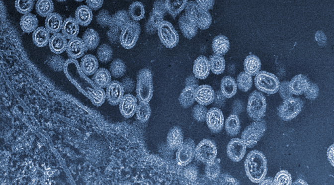 Here’s the Proof Flu Virus Was Deliberately Weaponized for Widest Transmission