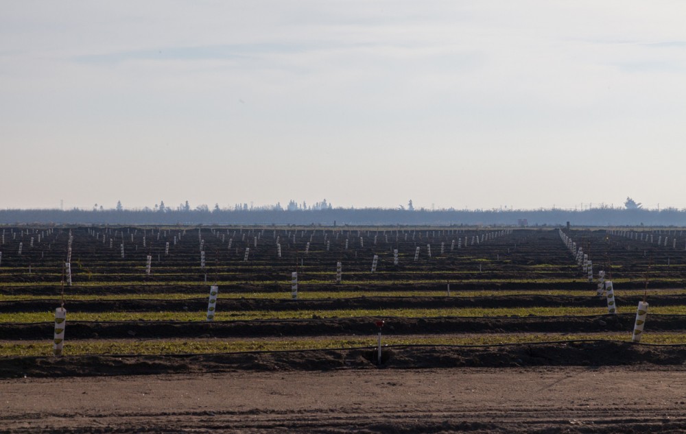 Farms next to the neighborhood Eva galindo grew up in photographed on Dec. 29, in Salida, Calif.