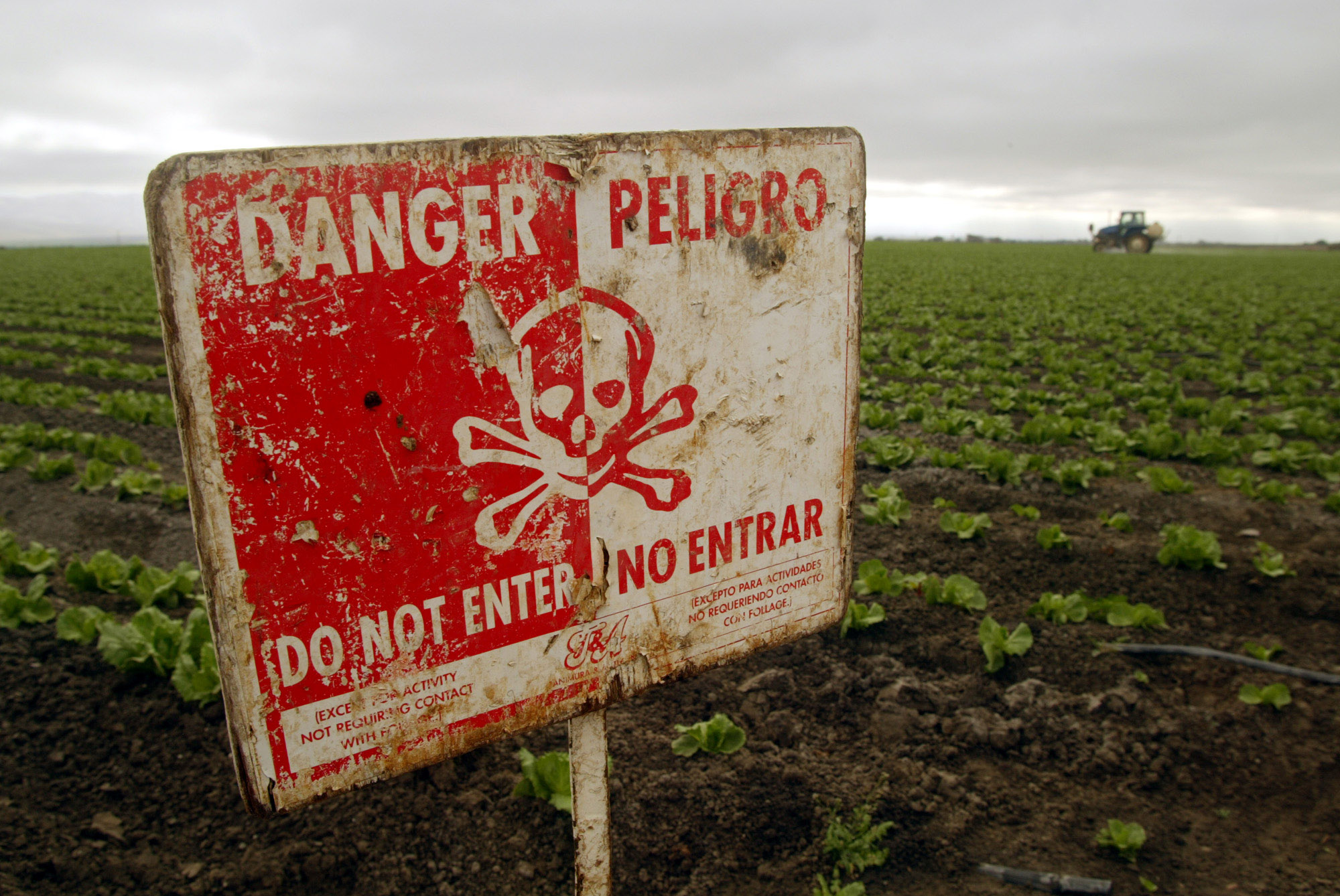 A "Do Not Enter" sign marks a field of head cabbage during the spraying of pesticides near Chualar, Calif., Monday, Sept. 16, 2002.  State reports of pesticide poisonings among farmworkers are declining, but labor advocates say that tougher state laws and more enforcement are needed to adequately protect the people picking and packing crops. (AP Photo/Mike Fiala)